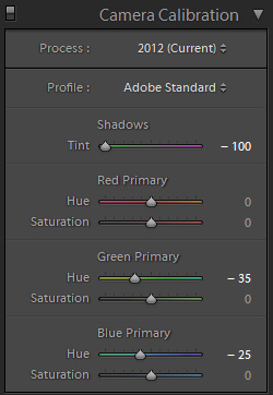 Pushing the Shadows Tint all the way to -100, and making Primary Hue changes