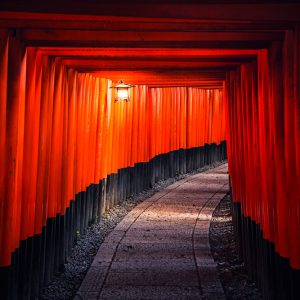 Torii Gates, Kyoto