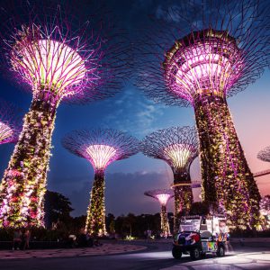 The Supertrees, Singapore