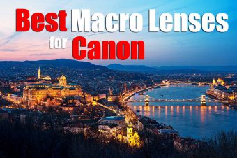 The Best Macro Lenses for Canon: EF + EF-S