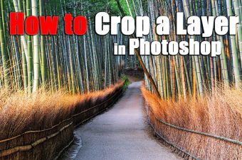 How to Crop a Layer in Photoshop