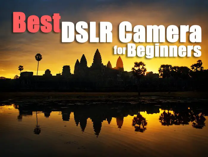 best DSLR camera for beginners