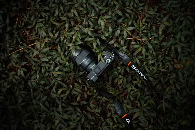 The Sony a6400, one of the best slow motion cameras