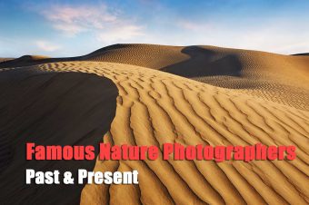 Famous Nature Photographers Past & Present