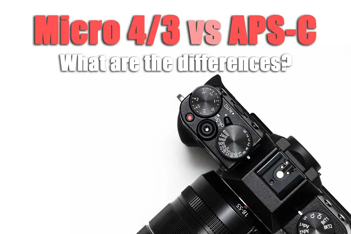 Verward zijn Perforeren Bediende Micro 4/3 vs APS-C: Sensor Sizes Compared - Lapse of the Shutter