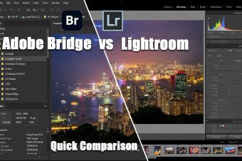 Adobe Bridge vs Lightroom: Which Should You Use?