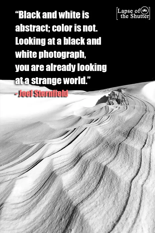 black and white photo quote Joel Sternfield