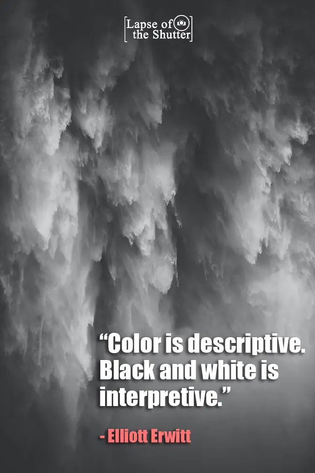 black and white photo quote elliott erwitt