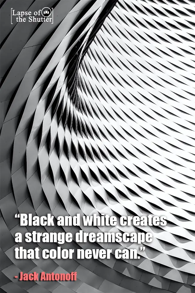 black and white photo quote jack antonoff