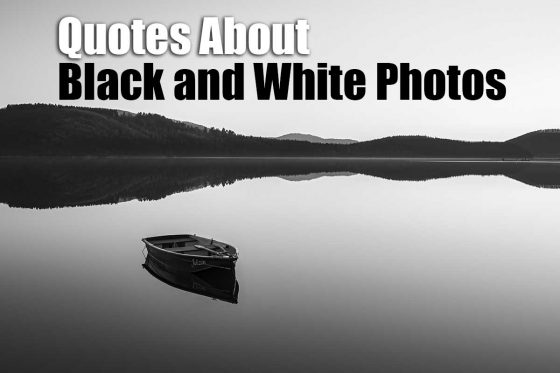 Quotes About Black and White Photos