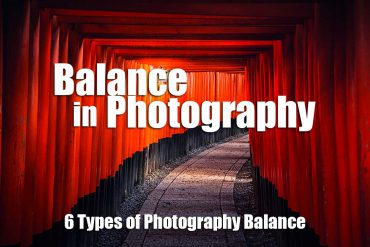 6 Types of Photography Balance: What is Balance in Photography?
