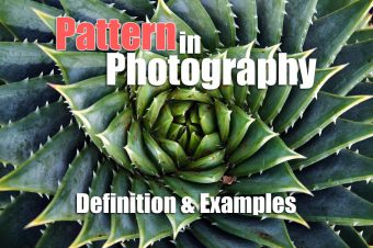 Pattern in Photography: Definition and Examples