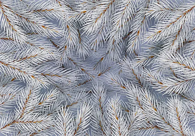 photo of pattern in nature