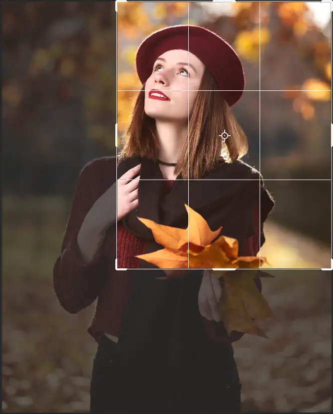 crop a picture in photoshop