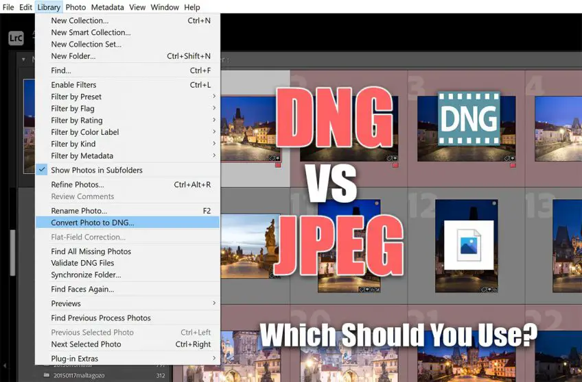 DNG vs JPEG: Which Should You Use?