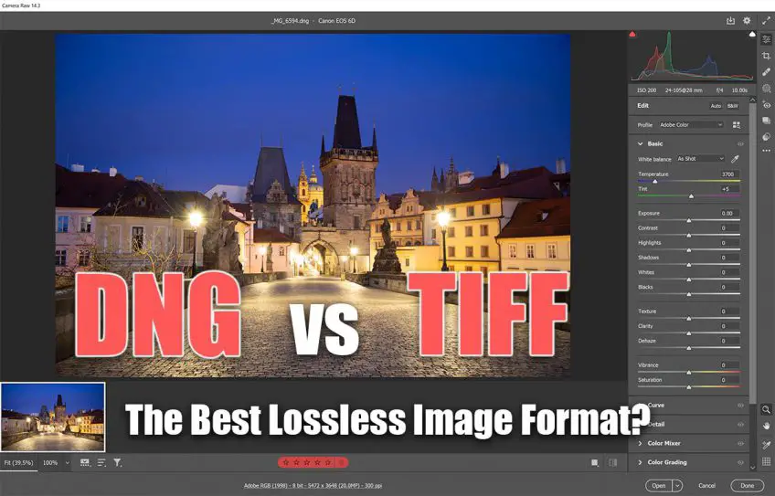 DNG vs TIFF: The Best Lossless Imaging Format?