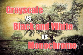 Grayscale vs Black and White vs Monochrome