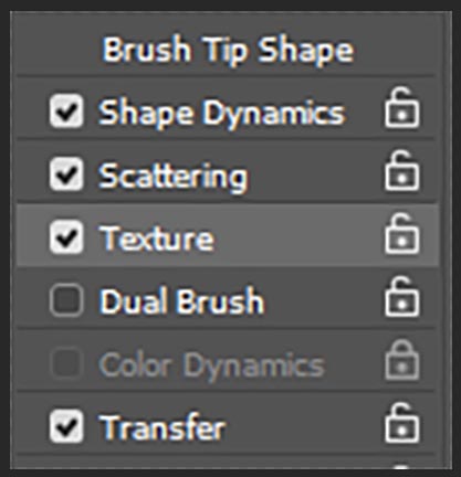 Photoshop brush tip shape