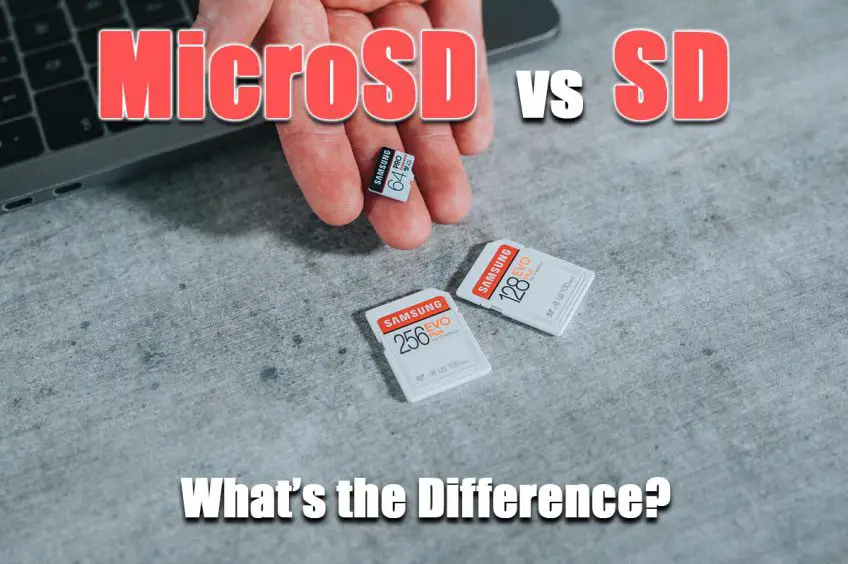 SD vs MicroSD: What’s the Difference?