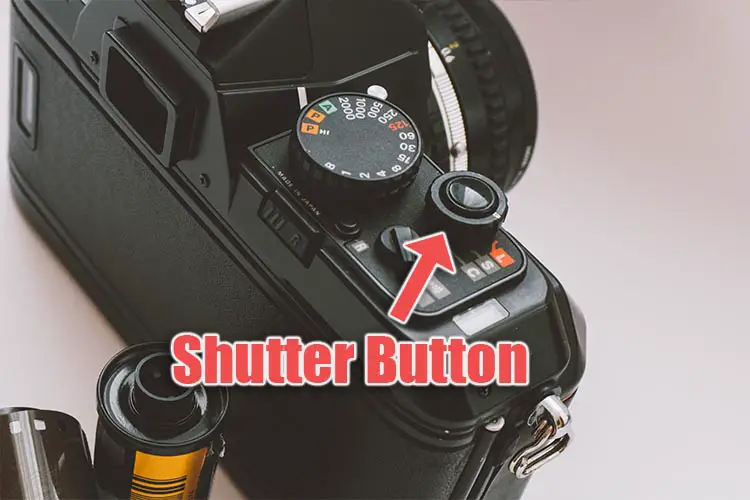 shutter button