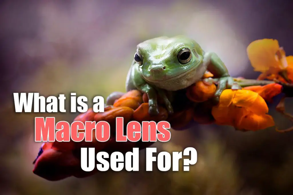 what is a macro lens used for