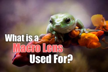 What is a Macro Lens Used For?