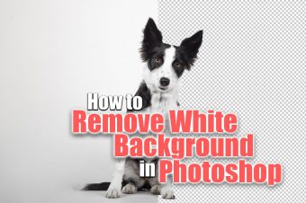 How to Remove White Background in Photoshop