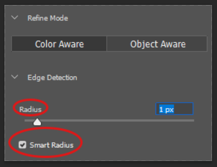 smart radius photoshop