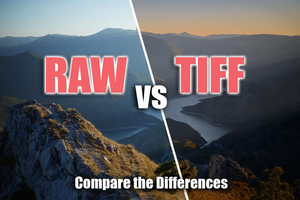tiff vs raw