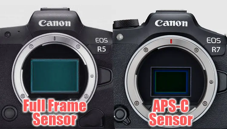 aps c and full frame sensors compared