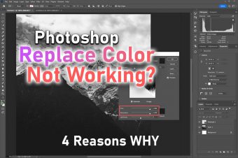 Photoshop Replace Color Not Working? 4 Reasons WHY