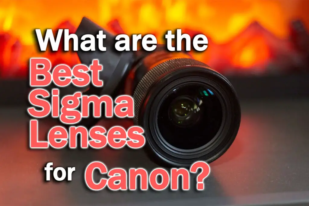 best sigma lenses for canon
