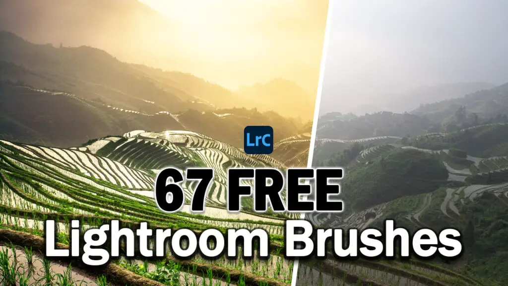 lightroom brushes free download