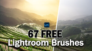 67 Free Lightroom Brushes – Download NOW!