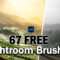 free lightroom brushes