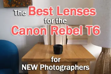 10 Best Lenses for Canon Rebel T6 for NEW Photographers